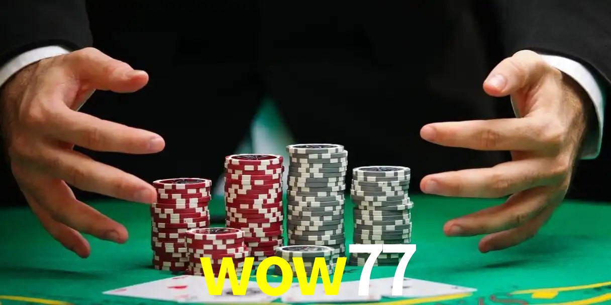 wow77 bet